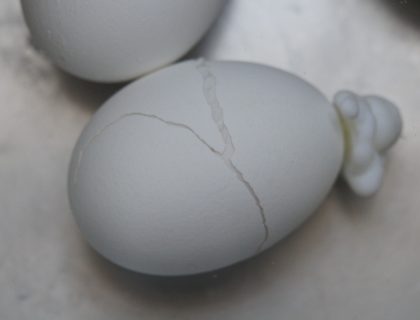 crack an egg
